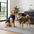 Calming Pressure Vest
